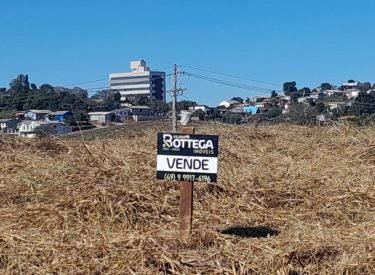 WhatsApp Image 2024-08-13 at 18.33.38