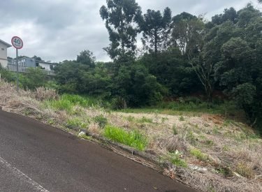 WhatsApp Image 2024-11-25 at 15.37.56 (1)