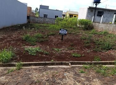 WhatsApp Image 2025-02-07 at 16.20.20