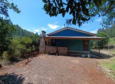 WhatsApp Image 2025-02-10 at 17.42.14