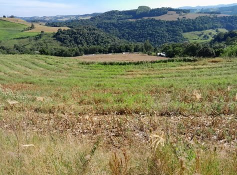 propriedade_rural_06