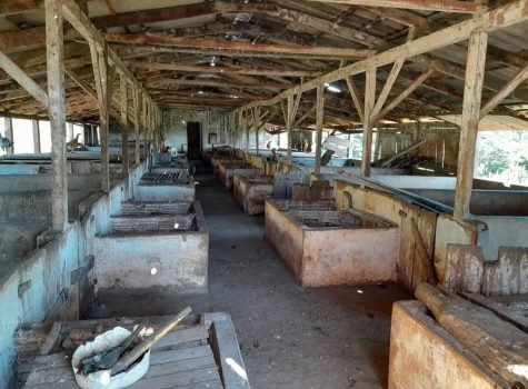 propriedade_rural_14