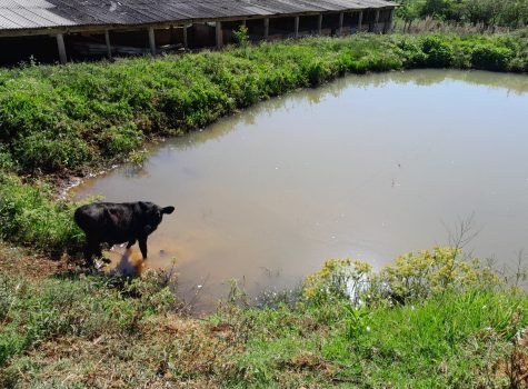 propriedade_rural_22