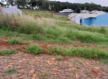 terreno_araucaria_05